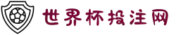 世界杯投注网 - 投注导航与赛事资讯 - 2026世界杯